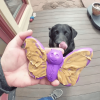 SP Butterfly Chew and Enrichment Toy