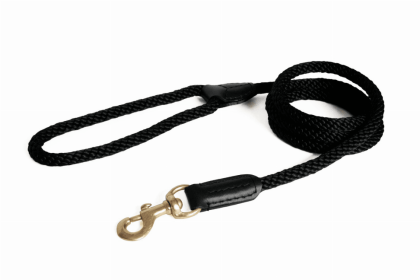 Rope and Leather Snap Lead (size: 4ft x 3/4 in)