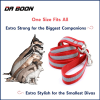 Da Boon Original Double-Sided Reflective Leash