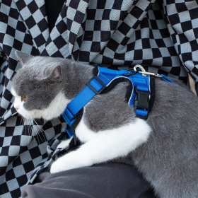 Mr. Peanut's PurrTrek Reflective Cat Harness with Matching Leash (Color: Blue, size: X Small)