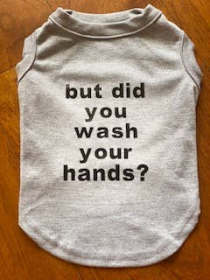 But did you wash your hands tee (Color: White, size: X Small)