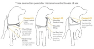 Omni Multi-Connection Harness