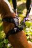 Millvue EZ Fit Dog Harness