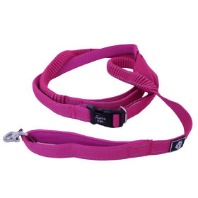 Cascades Plum Boysenberry Stretchable Runner Dog Leash (size: 6 to 10 feet when stretched.)