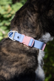 Blue Sky Orchid Waterproof Dog Collar (size: 11 - 13 inch)