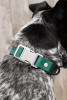 Siberian Spruce Waterproof Dog Collar