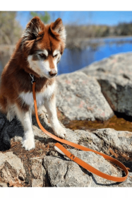 Sierra Sunrise Vegan Leather Dog Leash (Color: Brown-Red)