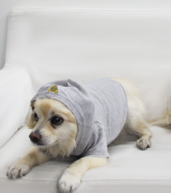 Doggy Hoodie French Terry (Color: Asphalt, size: large)